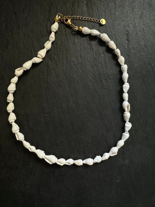 White Shell